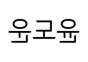 KPOP DAY6(데이식스、デイシックス) 도운 (ドウン) コンサート用　応援ボード・うちわ　韓国語/ハングル文字型紙 左右反転