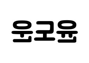 KPOP DAY6(데이식스、デイシックス) 도운 (ユン・ドウン, ドウン) 応援ボード、うちわ無料型紙、応援グッズ 左右反転