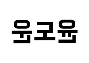 KPOP DAY6(데이식스、デイシックス) 도운 (ドウン) k-pop アイドル名前 ファンサボード 型紙 左右反転