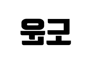 KPOP DAY6(데이식스、デイシックス) 도운 (ドウン) コンサート用　応援ボード・うちわ　韓国語/ハングル文字型紙 左右反転