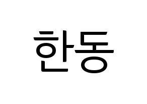 KPOP Dreamcatcher(드림캐쳐、ドリームキャッチャー) 한동 (ハンドン) コンサート用　応援ボード・うちわ　韓国語/ハングル文字型紙 通常