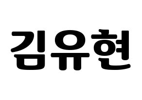 KPOP Dreamcatcher(드림캐쳐、ドリームキャッチャー) 유현 (ユヒョン) コンサート用　応援ボード・うちわ　韓国語/ハングル文字型紙 通常