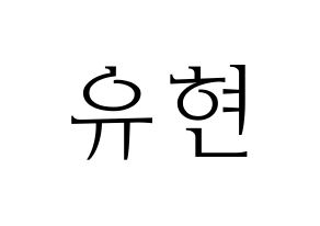 KPOP Dreamcatcher(드림캐쳐、ドリームキャッチャー) 유현 (ユヒョン) 応援ボード・うちわ　韓国語/ハングル文字型紙 通常
