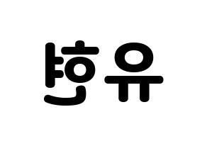 KPOP Dreamcatcher(드림캐쳐、ドリームキャッチャー) 유현 (ユヒョン) 応援ボード・うちわ　韓国語/ハングル文字型紙 左右反転