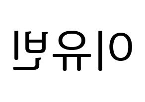 KPOP Dreamcatcher(드림캐쳐、ドリームキャッチャー) 다미 (ダミ) プリント用応援ボード型紙、うちわ型紙　韓国語/ハングル文字型紙 左右反転