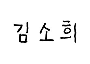 KPOP ELRIS(엘리스、エリス) 소희 (ソヒ) k-pop アイドル名前 ファンサボード 型紙 通常