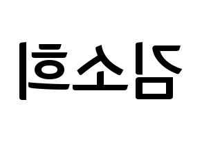 KPOP ELRIS(엘리스、エリス) 소희 (ソヒ) k-pop アイドル名前 ファンサボード 型紙 左右反転