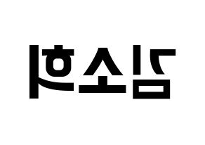 KPOP ELRIS(엘리스、エリス) 소희 (ソヒ) k-pop アイドル名前 ファンサボード 型紙 左右反転