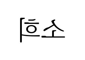 KPOP ELRIS(엘리스、エリス) 소희 (ソヒ) 応援ボード・うちわ　韓国語/ハングル文字型紙 左右反転