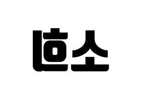 KPOP ELRIS(엘리스、エリス) 소희 (ソヒ) コンサート用　応援ボード・うちわ　韓国語/ハングル文字型紙 左右反転