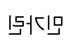 KPOP ELRIS(엘리스、エリス) 가린 (カリン) コンサート用　応援ボード・うちわ　韓国語/ハングル文字型紙 左右反転