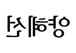 KPOP ELRIS(엘리스、エリス) 혜성 (ヘソン) プリント用応援ボード型紙、うちわ型紙　韓国語/ハングル文字型紙 左右反転