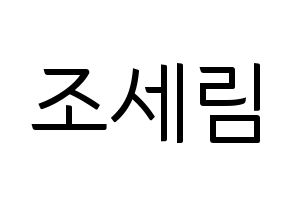 KPOP Everglow(에버글로우、エバーグロー) 온다 (オンダ) コンサート用　応援ボード・うちわ　韓国語/ハングル文字型紙 通常