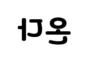 KPOP Everglow(에버글로우、エバーグロー) 온다 (オンダ) 応援ボード・うちわ　韓国語/ハングル文字型紙 左右反転