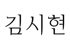 KPOP Everglow(에버글로우、エバーグロー) 시현 (シヒョン) 応援ボード・うちわ　韓国語/ハングル文字型紙 通常