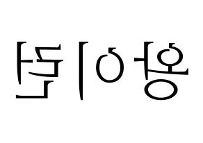 KPOP Everglow(에버글로우、エバーグロー) 이런 (イロン) 応援ボード・うちわ　韓国語/ハングル文字型紙 左右反転
