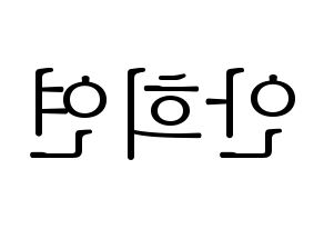KPOP EXID(이엑스아이디、イェクスアイディ) 하니 (ハニ) 応援ボード・うちわ　韓国語/ハングル文字型紙 左右反転