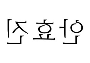 KPOP EXID(이엑스아이디、イェクスアイディ) 엘리 (エリー) 応援ボード・うちわ　韓国語/ハングル文字型紙 左右反転