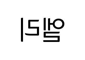 KPOP EXID(이엑스아이디、イェクスアイディ) 엘리 (エリー) コンサート用　応援ボード・うちわ　韓国語/ハングル文字型紙 左右反転