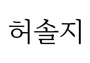KPOP EXID(이엑스아이디、イェクスアイディ) 솔지 (ソルジ) 応援ボード・うちわ　韓国語/ハングル文字型紙 通常