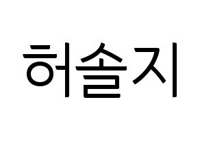 KPOP EXID(이엑스아이디、イェクスアイディ) 솔지 (ソルジ) コンサート用　応援ボード・うちわ　韓国語/ハングル文字型紙 通常
