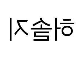 KPOP EXID(이엑스아이디、イェクスアイディ) 솔지 (ソルジ) コンサート用　応援ボード・うちわ　韓国語/ハングル文字型紙 左右反転