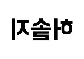 KPOP EXID(이엑스아이디、イェクスアイディ) 솔지 (ソルジ) k-pop アイドル名前 ファンサボード 型紙 左右反転