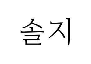 KPOP EXID(이엑스아이디、イェクスアイディ) 솔지 (ソルジ) 応援ボード・うちわ　韓国語/ハングル文字型紙 通常