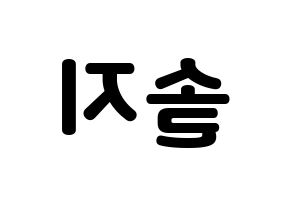 KPOP EXID(이엑스아이디、イェクスアイディ) 솔지 (ソルジ) 応援ボード・うちわ　韓国語/ハングル文字型紙 左右反転