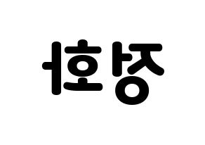 KPOP EXID(이엑스아이디、イェクスアイディ) 정화 (ジョンファ) 応援ボード・うちわ　韓国語/ハングル文字型紙 左右反転