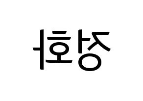 KPOP EXID(이엑스아이디、イェクスアイディ) 정화 (ジョンファ) コンサート用　応援ボード・うちわ　韓国語/ハングル文字型紙 左右反転
