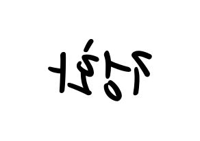 KPOP EXID(이엑스아이디、イェクスアイディ) 정화 (ジョンファ) 応援ボード ハングル 型紙  左右反転