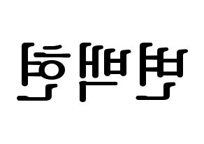 KPOP EXO-CBX(엑소-CBX、エクソ-CBX) 백현 (ベクヒョン) プリント用応援ボード型紙、うちわ型紙　韓国語/ハングル文字型紙 左右反転