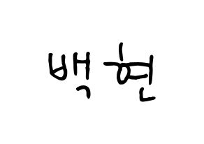 KPOP EXO-CBX(엑소-CBX、エクソ-CBX) 백현 (ベクヒョン) k-pop 応援ボード メッセージ 型紙 通常