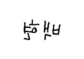 KPOP EXO-CBX(엑소-CBX、エクソ-CBX) 백현 (ベクヒョン) 名前 応援ボード 作り方 左右反転