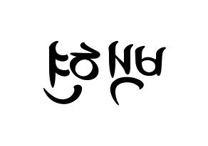 KPOP EXO-CBX(엑소-CBX、エクソ-CBX) 백현 (ベクヒョン) k-pop 応援ボード メッセージ 型紙 左右反転