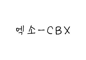 KPOP EXO-CBX(엑소-CBX、エクソ-CBX) 応援ボード 作り方 通常