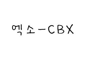 KPOP EXO-CBX(엑소-CBX、エクソ-CBX) k-pop 応援ボード メッセージ 型紙 通常