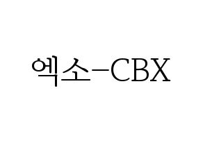 無料 KPOP歌手 EXO-CBX(엑소-CBX、エクソ-CBX) ハングル応援ボード型紙、応援グッズ制作 通常