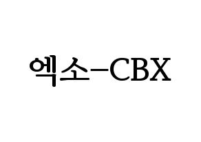 KPOP EXO-CBX(엑소-CBX、エクソ-CBX) ハングルボード型紙、うちわ型紙　作る方法、作り方 通常