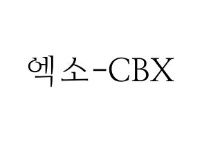 無料 KPOP歌手 EXO-CBX(엑소-CBX、エクソ-CBX) ハングル応援ボード型紙、応援グッズ制作 通常