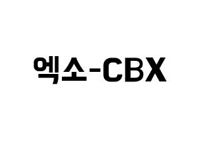 KPOP EXO-CBX(엑소-CBX、エクソ-CBX) k-pop ファンサ ボード 型紙 通常