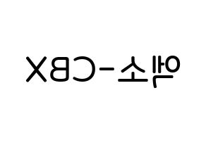 無料 KPOP EXO-CBX(엑소-CBX、エクソ-CBX) 無料応援ボード屋さん 左右反転