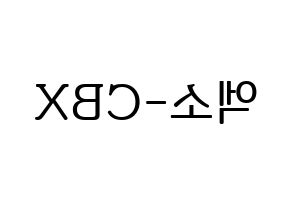 KPOP EXO-CBX(엑소-CBX、エクソ-CBX) ハングルボード型紙、うちわ型紙　作る方法、作り方 左右反転