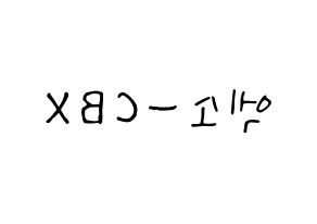 KPOP EXO-CBX(엑소-CBX、エクソ-CBX) 応援ボード ハングル 型紙  左右反転