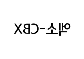 無料 KPOP EXO-CBX(엑소-CBX、エクソ-CBX) 無料応援ボード屋さん 左右反転