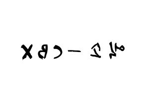 KPOP歌手 EXO-CBX(엑소-CBX、エクソ-CBX) 応援ボード型紙、うちわ型紙　韓国語/ハングル文字 左右反転