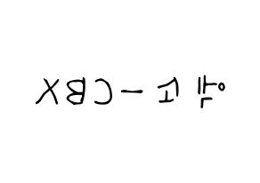 無料 KPOP EXO-CBX(엑소-CBX、エクソ-CBX) 無料応援ボード屋さん 左右反転