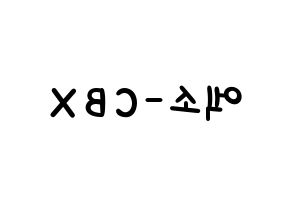 KPOP EXO-CBX(엑소-CBX、エクソ-CBX) 応援ボード 作り方 左右反転