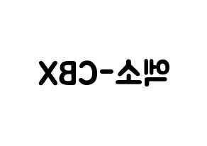 KPOP歌手 EXO-CBX(엑소-CBX、エクソ-CBX) 応援ボード型紙、うちわ型紙　韓国語/ハングル文字 左右反転